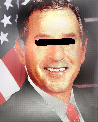 bush_magic.jpg(121355 byte)